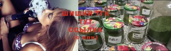 дмт Пересвет