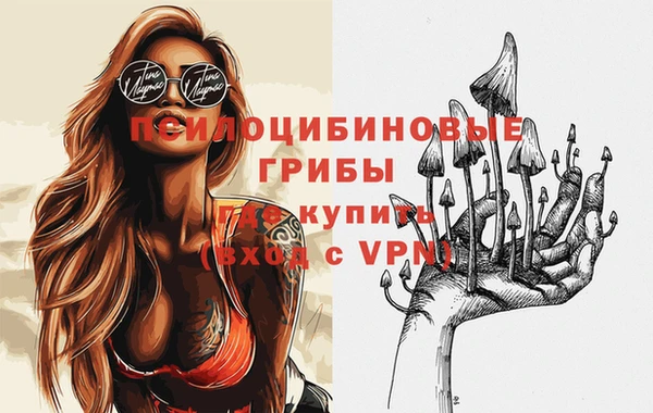 Альфа ПВП Абаза