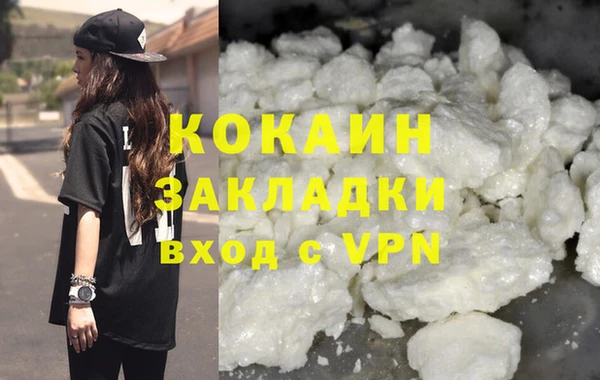 дмт Пересвет